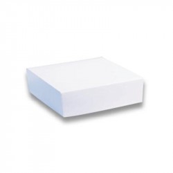 Caja para pastel blanca c/tapa S230x230x50 c.50